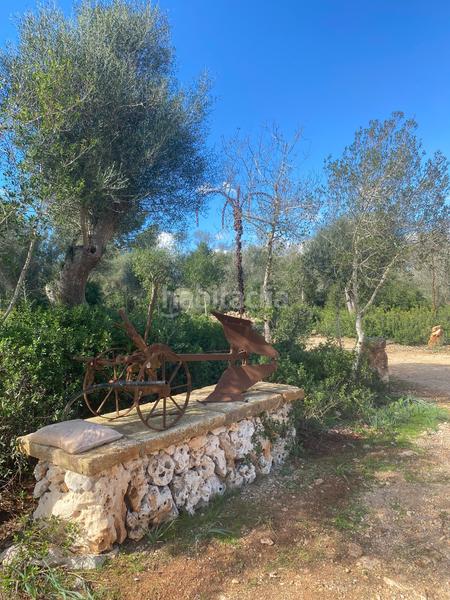 Foto eb7d362d-ed74-444b-be0a-304092ead30b. Affitto casa in Sencelles