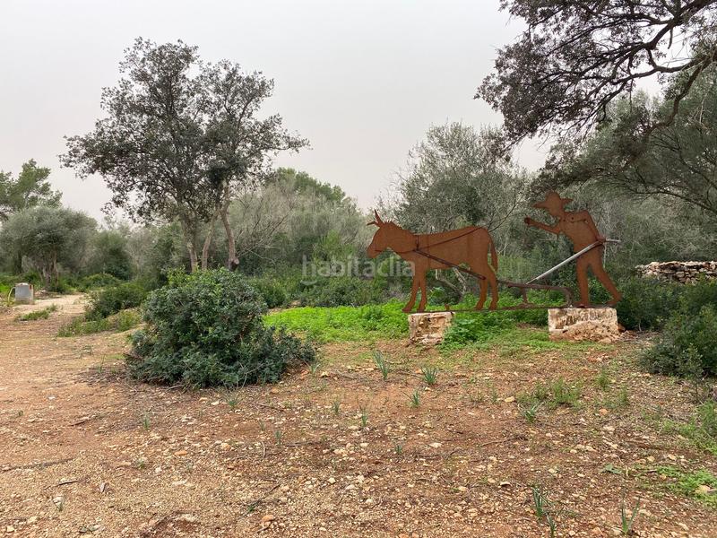 Foto 3bff219e-1a07-44b4-bb9d-925356652052. Alquiler casa en Sencelles