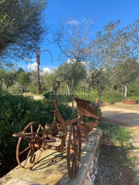 Foto cad778e7-1d2f-4af6-9671-a6734a363a04. Alquiler casa en Sencelles