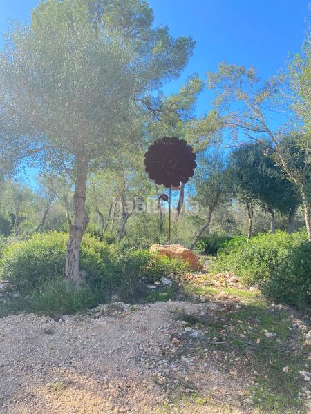 Foto e265d670-acce-4bc0-a7c9-7c95c0269119. Miete haus in Sencelles