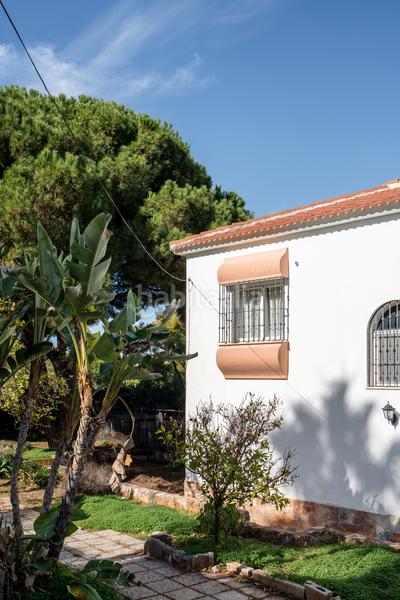 Foto e98b5dae-4649-437c-888c-63f4587231a2. Casa in Pinos de Alhaurín Alhaurín de la Torre