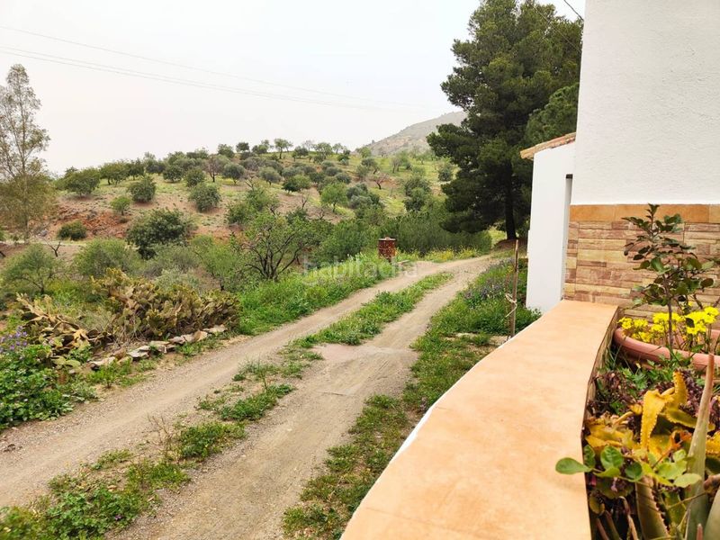 Foto 5dd33d65-7dbe-4b07-8185-b6f11ae3d7ce. Terreny residencial a alegría de la huerta- jardín de Málaga Málaga