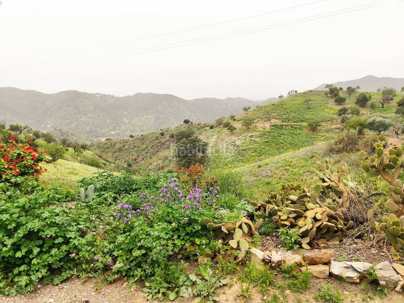 Foto ccaac3d9-069a-475c-b209-e4a55d3786df. Terreny residencial a alegría de la huerta- jardín de Málaga Málaga