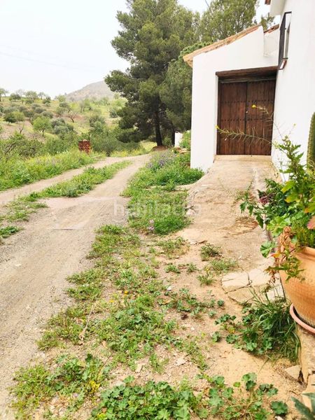 Foto f4152d13-b861-459d-af6b-4aa50a902503. Terreny residencial a alegría de la huerta- jardín de Málaga Málaga