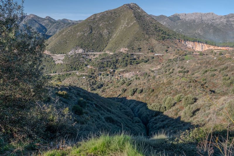 Foto d1f7f784-df61-4e18-91bc-45ed0d71704f. Terreny residencial a Ojén pueblo Ojén