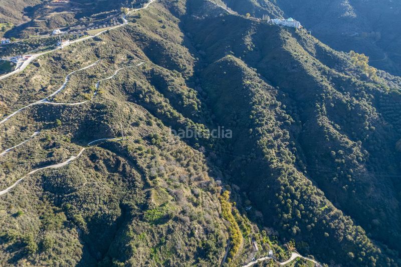 Foto da56ad1b-ef4f-43ee-b7d9-11a0fa4e6687. Terreny residencial a Ojén pueblo Ojén