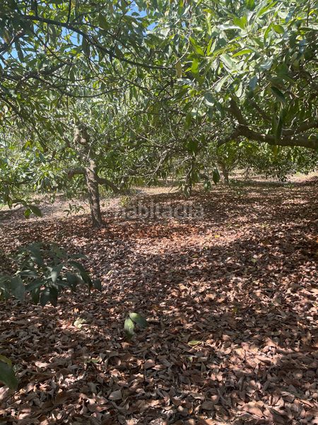 Foto dd9d089a-8d5b-4923-9d27-1b0e6cfc5444. Terreny residencial a Coín