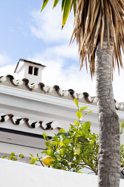 Foto 59396d57-d58c-4f60-8b29-80ef9c77ae43. Àtic a Mijas pueblo Mijas