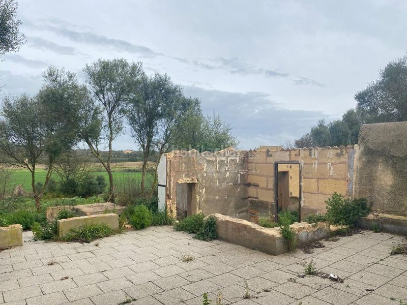 Foto 61efb1ed-2bf9-4513-bd77-a454754ff6fa. Casa a Petra