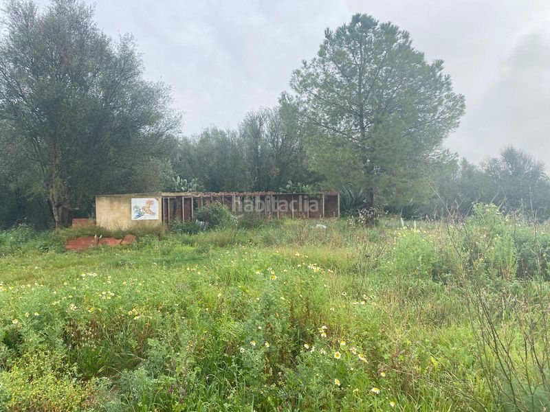 Foto aa1bea14-8f63-4703-bd0d-b5e1afccae18. Casa a Petra