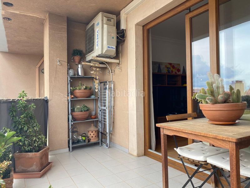 Foto c81ed421-0ba0-4c47-88ed-adc5263db2ae. Apartament a Es Camp Redó Palma de Mallorca