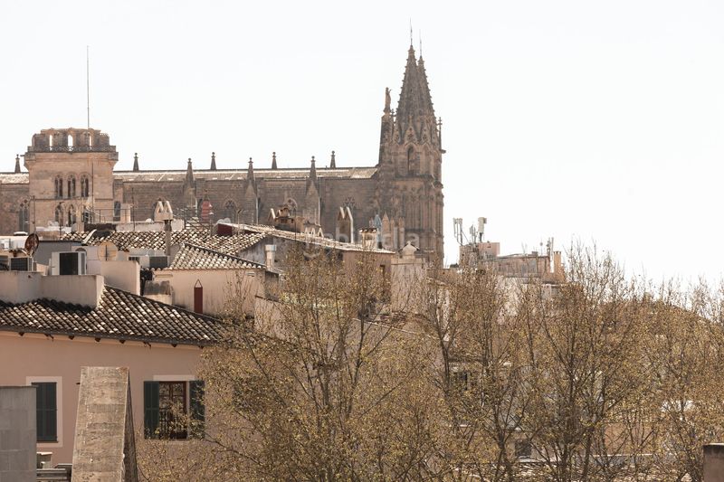 Foto 7383921b-70fb-4048-91ac-65689308c209. Apartament a La Missió Palma de Mallorca