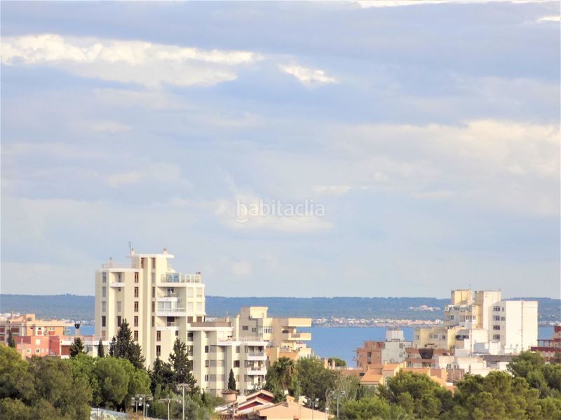 Foto 01259cbe-a0c3-46f1-8770-cfc69ed78e5c. Àtic a Zona Los Colegios Palma de Mallorca