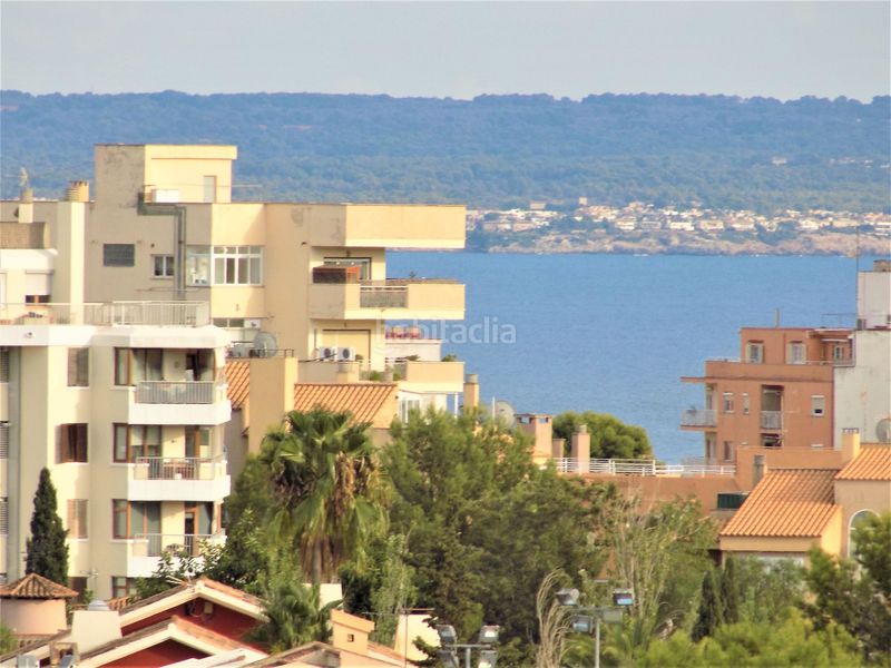 Foto ccf96f43-1298-46fe-99b0-bbc5991bd976. Àtic a Zona Los Colegios Palma de Mallorca