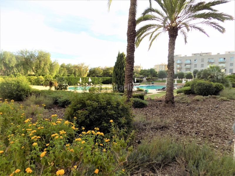 Foto e28f269d-32b8-4868-bf7c-23430c5e0e67. Àtic a Zona Los Colegios Palma de Mallorca