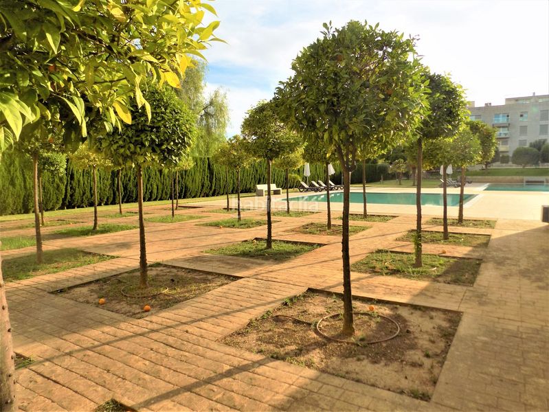 Foto f1e27361-425e-473f-857c-4616f52f2908. Àtic a Zona Los Colegios Palma de Mallorca