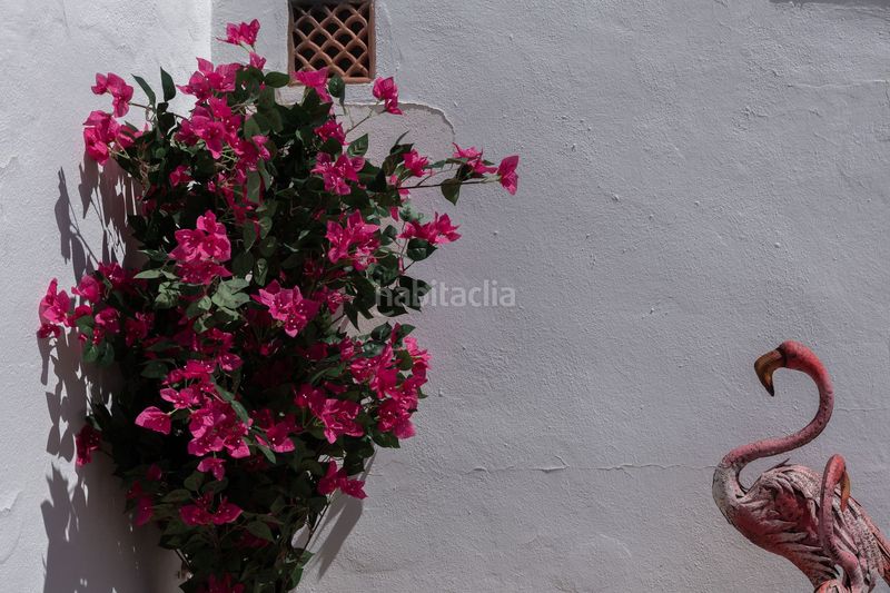 Foto 0d9bbc7e-ab46-4861-9640-435fa01bde15. Apartament a Cas Català-Illetes Calvià