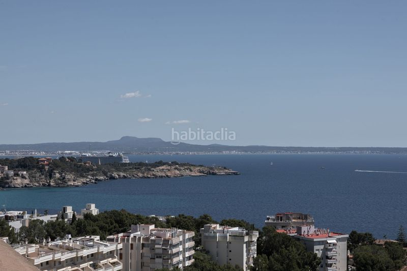Foto d6f64436-5eb5-42a5-a8b2-af8a18af6c54. Apartament a Cas Català-Illetes Calvià