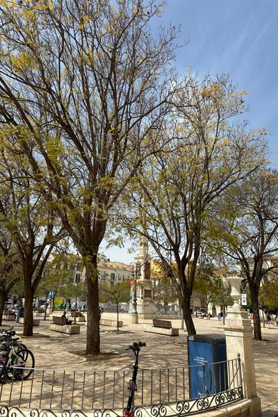 Foto f0967800-46ca-4e2e-b29e-44890f9a4a6e. Apartament a La Merced Málaga