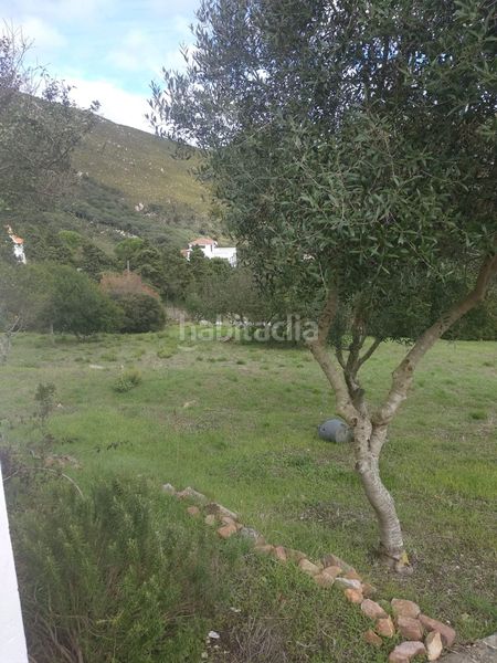 Foto 3f160a2b-bf02-4c8f-a9e3-eaef46122c74. Terreny residencial a El Cuartón - El Bujeo Tarifa
