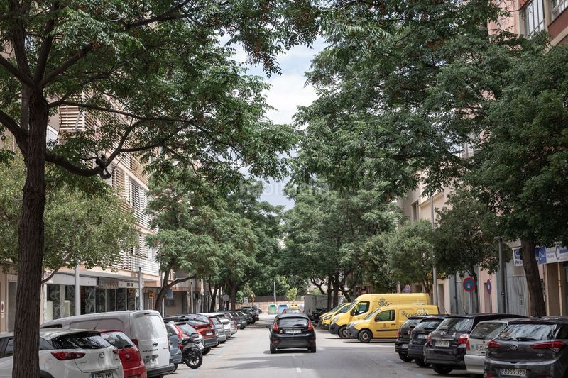 Foto 11a14733-354a-4abb-b852-b32992616115. Apartament a El Fortí Palma de Mallorca