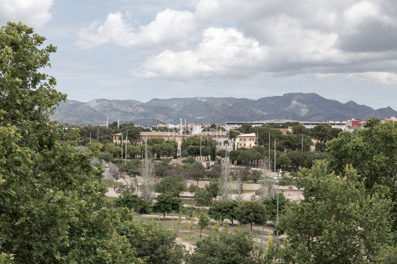 Foto 3b853c38-2c96-4685-a0f8-7101b5508cd6. Apartament a El Fortí Palma de Mallorca