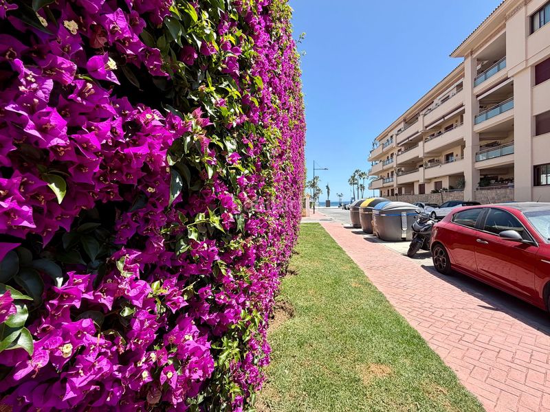 Foto 77aa3d08-4309-4037-b8d1-12eb5d767290. Apartament a Nueva Alcántara Marbella