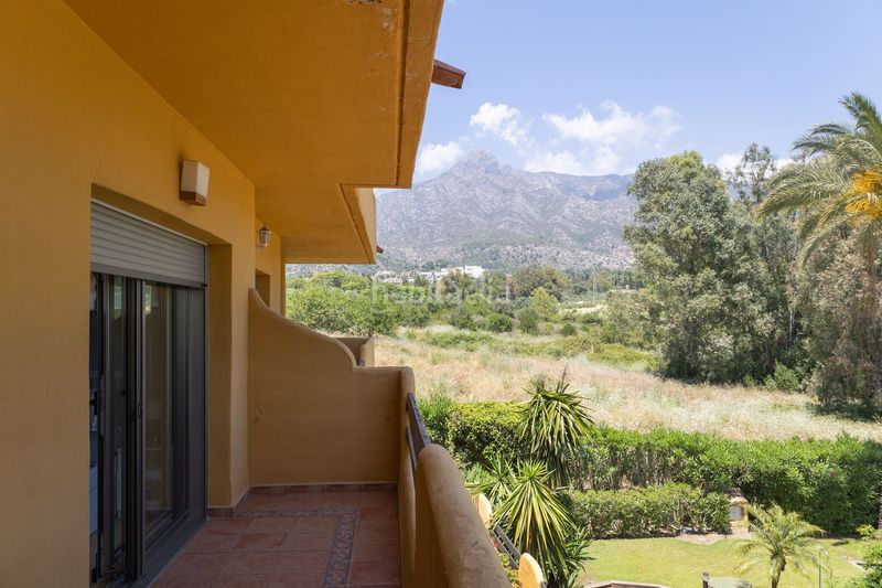 Foto c805e2a7-4dff-46db-b866-ea57e5be4407. Casa adossada a Nagüeles Alto Marbella