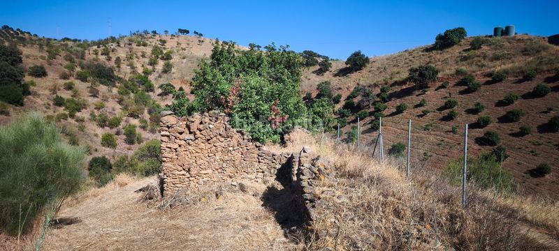 Foto 1a8a0a40-4a31-4508-b708-8f6971f3cce0. Terreno residenziale in Pizarra