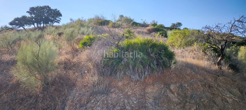 Foto 1e8e01d3-cb55-420e-b9a5-47a57d57daef. Terreno residenziale in Pizarra