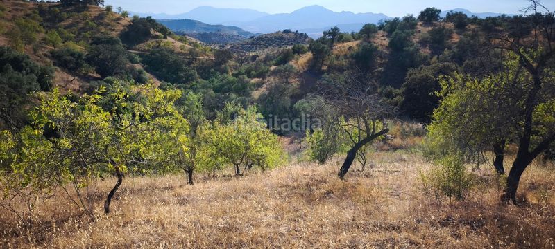 Foto 4d1deab9-8622-45bc-a9a1-de4b4bec0313. Terreno residenziale in Pizarra
