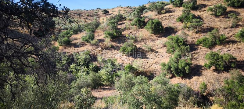 Foto 7efeb7ec-dded-4498-8d7b-d1ce13416667. Terreno residenziale in Pizarra