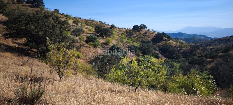 Foto 91cbd986-17e8-4b30-97df-cc23b11640e7. Terreno residenziale in Pizarra