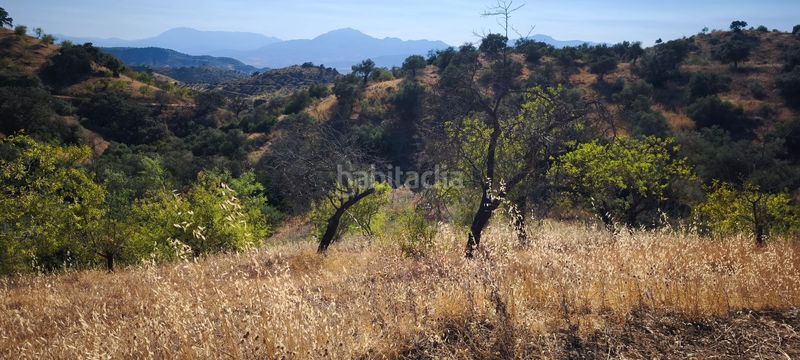 Foto 995c6305-d31a-4d83-b73e-94322a2f94f1. Terreno residenziale in Pizarra