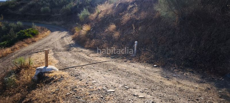 Foto b6d556cc-e7c6-429c-8558-25147a757c81. Terreno residenziale in Pizarra