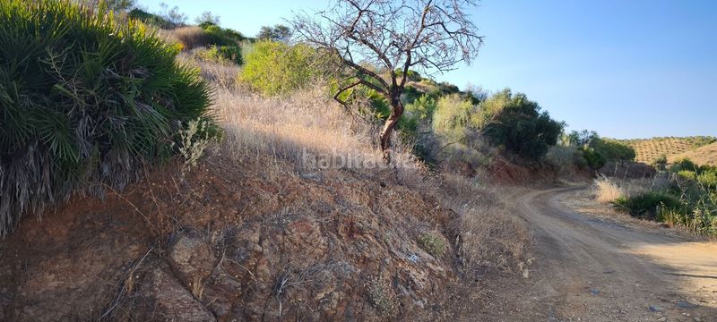 Foto c82fd812-df8e-48ff-9615-beabfbcc209e. Terreno residenziale in Pizarra