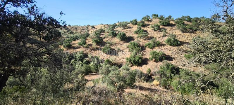 Foto eb59c276-c0e5-4171-bd30-a9c15f8568fa. Terreno residenziale in Pizarra