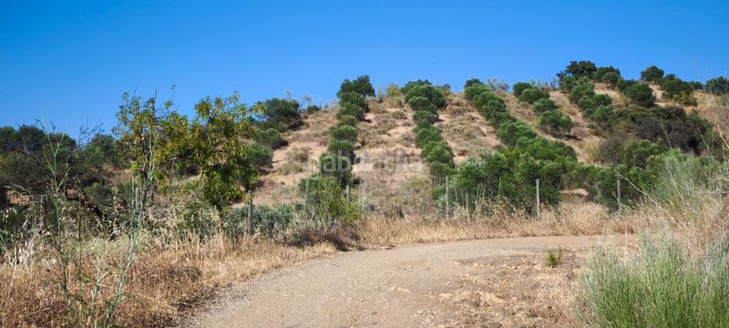 Foto f50f5a1b-e2d3-4711-ba60-9869e6939f15. Terreno residenziale in Pizarra