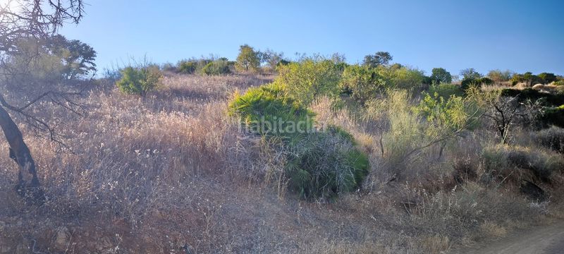 Foto f9994801-ea1e-48ef-b8d0-b8406d874421. Terreno residenziale in Pizarra