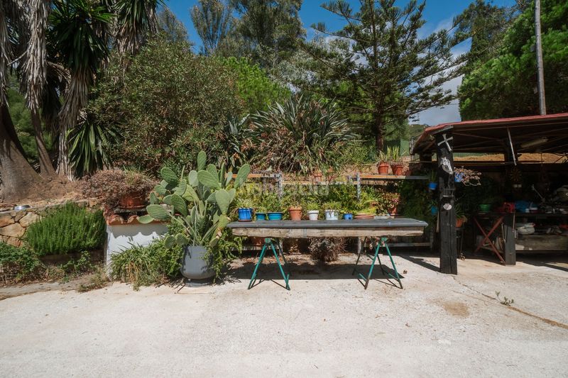 Foto 012351f2-3845-424e-a3eb-f54b52bf992d. Terreny residencial a Tarifa ciudad Tarifa