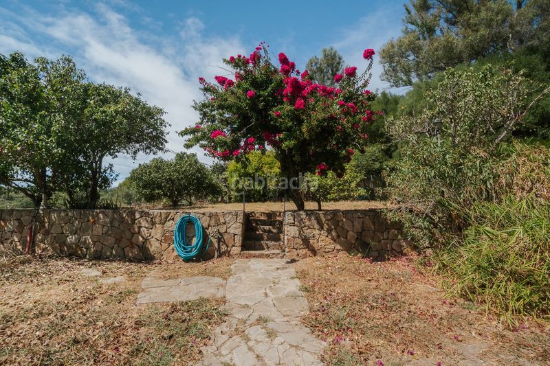 Foto 51978c05-a953-428f-9be4-73d984789506. Terreny residencial a Tarifa ciudad Tarifa