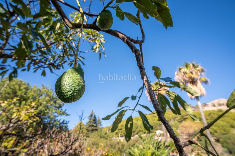 Foto be78fe9c-fa2c-494f-999e-a341eab4b520. Xalet a Mijas pueblo Mijas