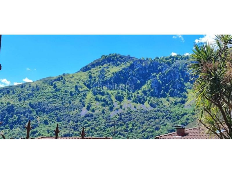 Foto 057a528c-444d-4930-9f25-e98a2905db74. Casa amb aparcament a Peñamellera Alta