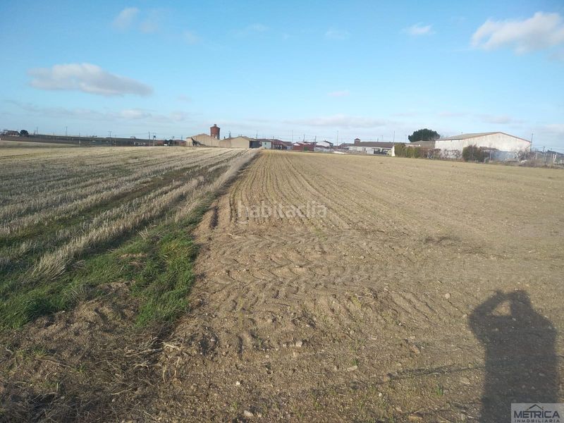 Foto 3c6fd418-4468-40e7-90f2-ef9e4f84995a. Terreny residencial a Campo de Peñaranda (El)