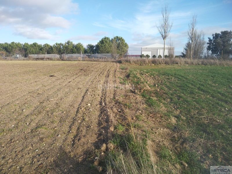 Foto 8a66f7ce-7aac-4a63-81ab-ba534716fde5. Terreny residencial a Campo de Peñaranda (El)