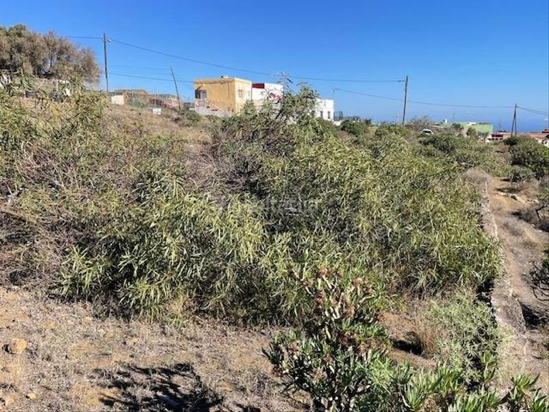 Foto 4fcbb0fa-6ce2-435f-bf7d-3aa2187bd93c. Finca rústica se vende parcela rústica en el balcón en Telde