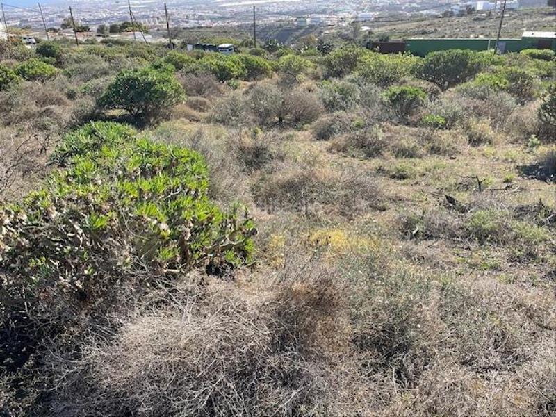 Foto 9660577c-395b-496f-8f8d-24834341e8bd. Finca rústica se vende parcela rústica en el balcón en Telde