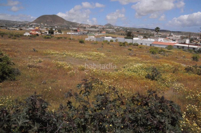 Foto 20ad7ae8-f1c1-48ba-8ab1-450c8c2ee1e3. Finca rústica a Valle de los Nueve - El Ejido - Medianías Telde