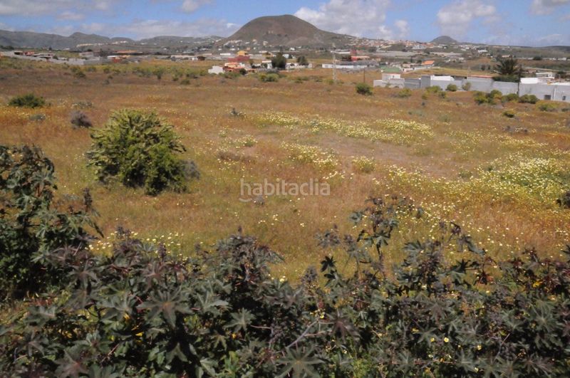 Foto 3e3895ef-7c7b-424c-86fe-484d132fac30. Finca rústica a Valle de los Nueve - El Ejido - Medianías Telde
