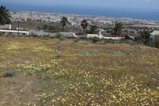 Finca rústica a Valle de los Nueve - El Ejido - Medianías. Se vende finca rústica en lomo salas telde